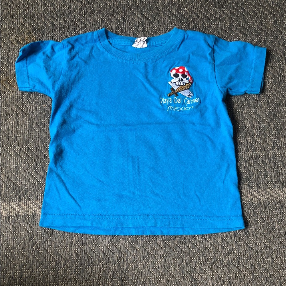 Kids Blue Short-Sleeve Skull Graphic embroidered Tee